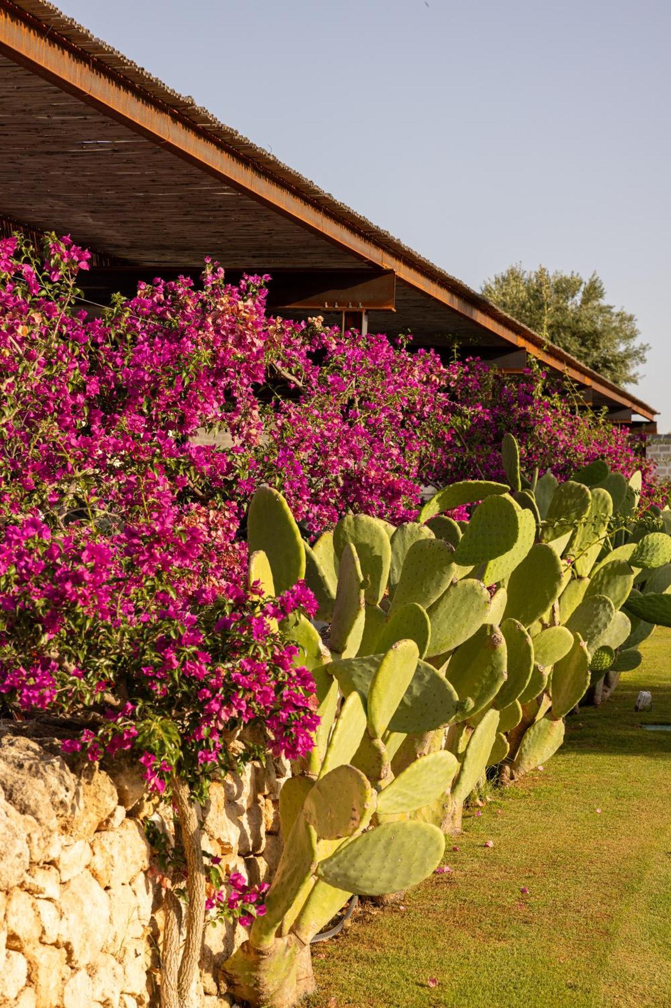Masseria San Francesco 사벨레트리 외부 사진